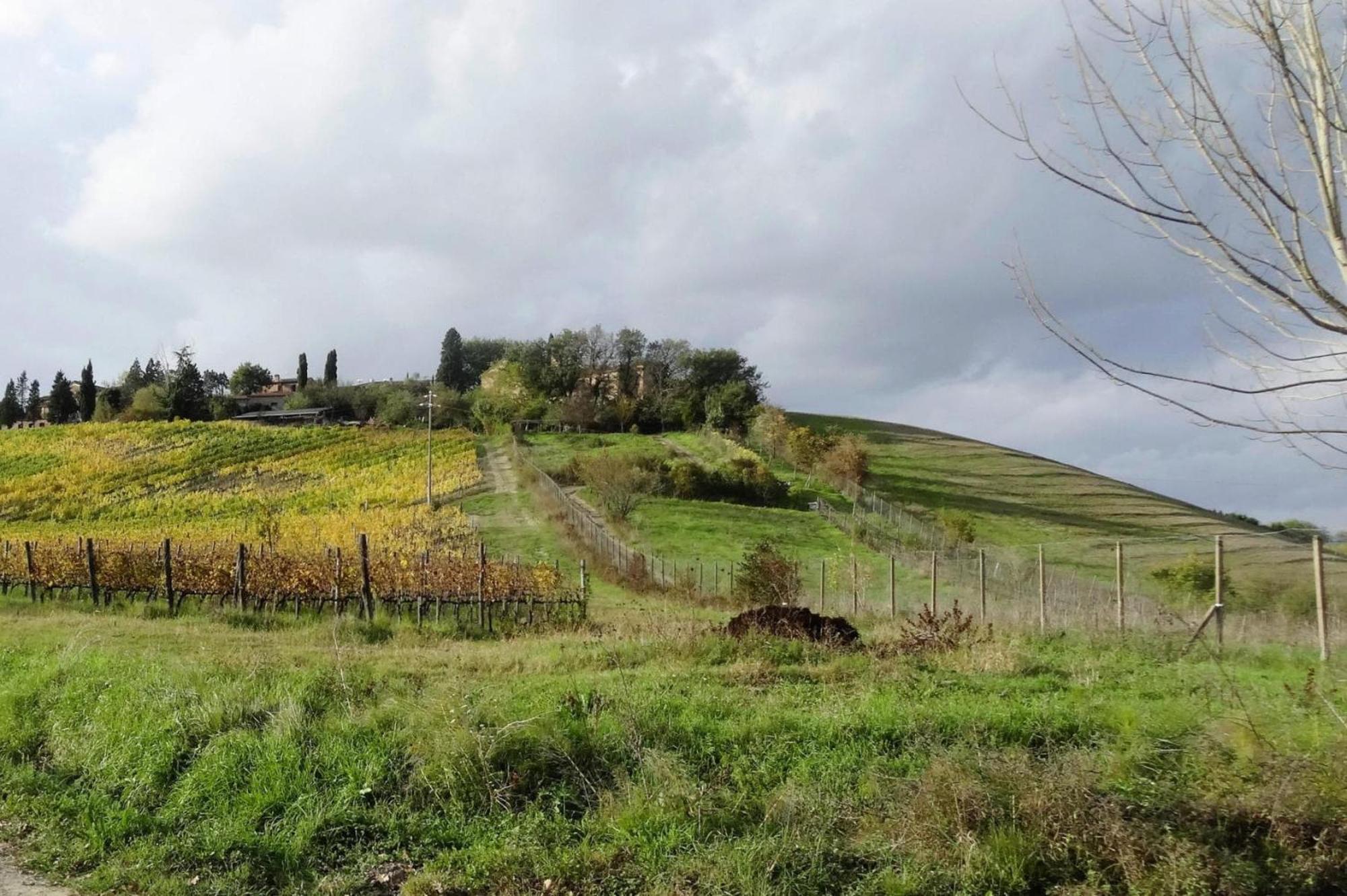 Fattoria Bio Pieve A Salti Montalcino Appartement Buitenkant foto