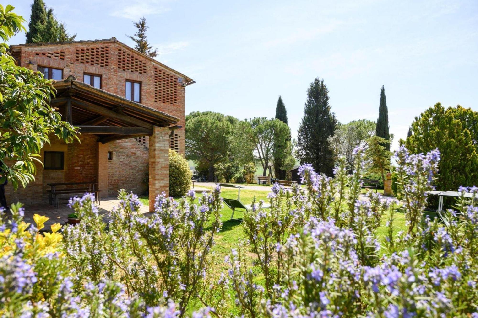 Fattoria Bio Pieve A Salti Montalcino Appartement Buitenkant foto