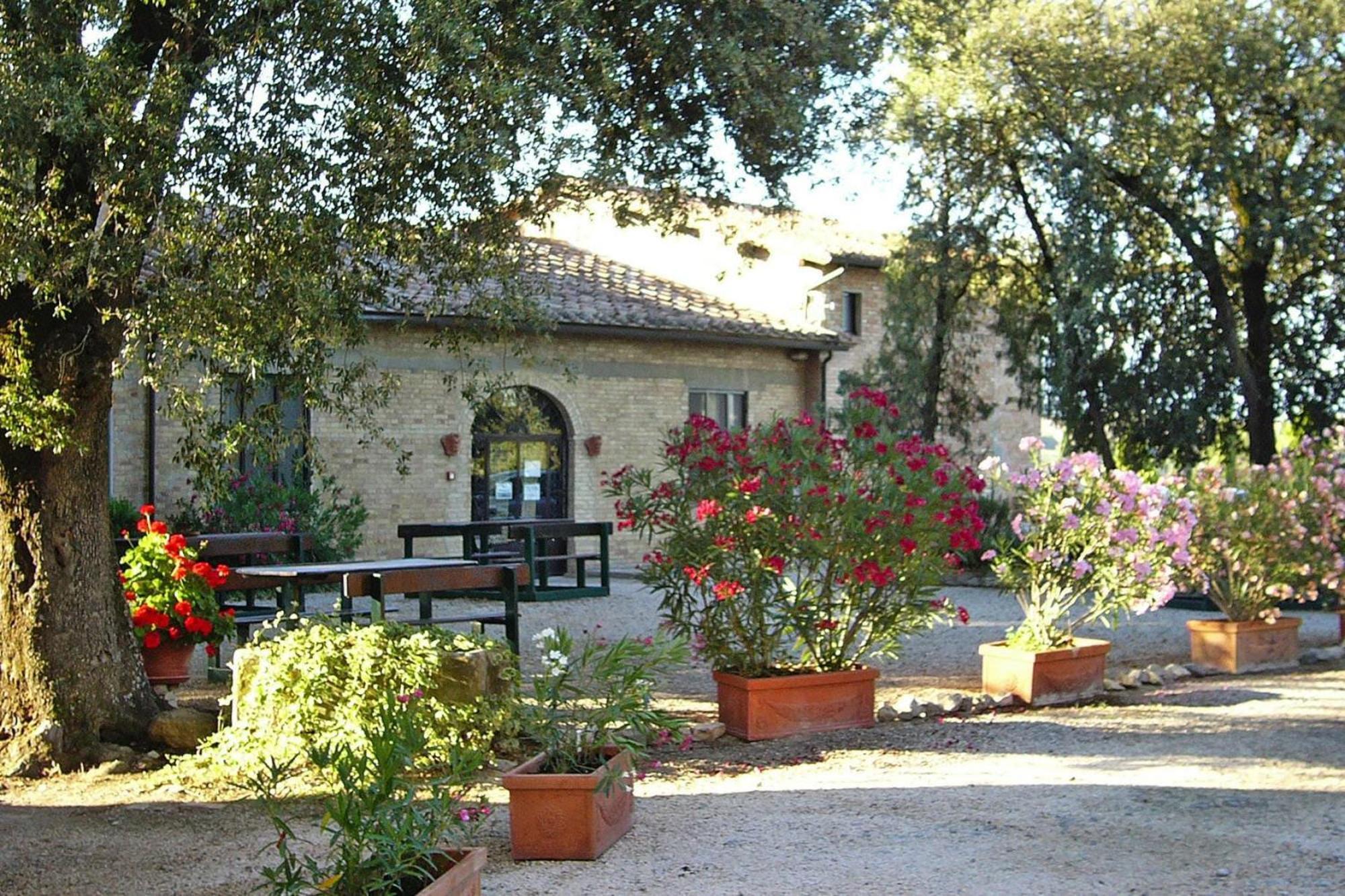 Fattoria Bio Pieve A Salti Montalcino Appartement Buitenkant foto